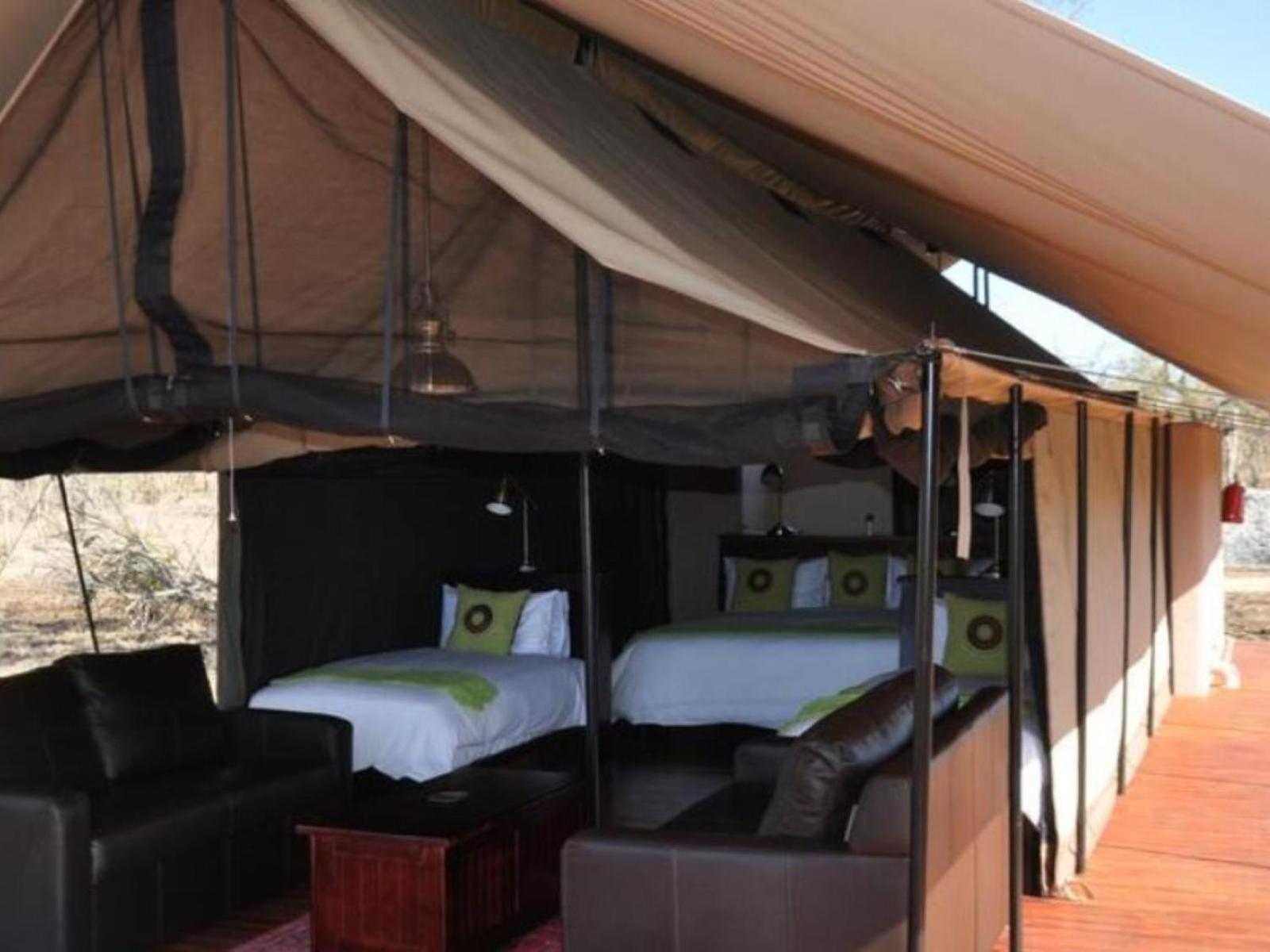 Honeyguide Tented Safari Camps - Mantobeni Manyeleti Game Reserve Room photo