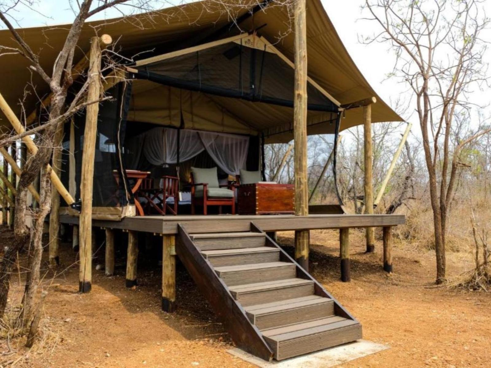 Honeyguide Tented Safari Camps - Mantobeni Manyeleti Game Reserve Room photo